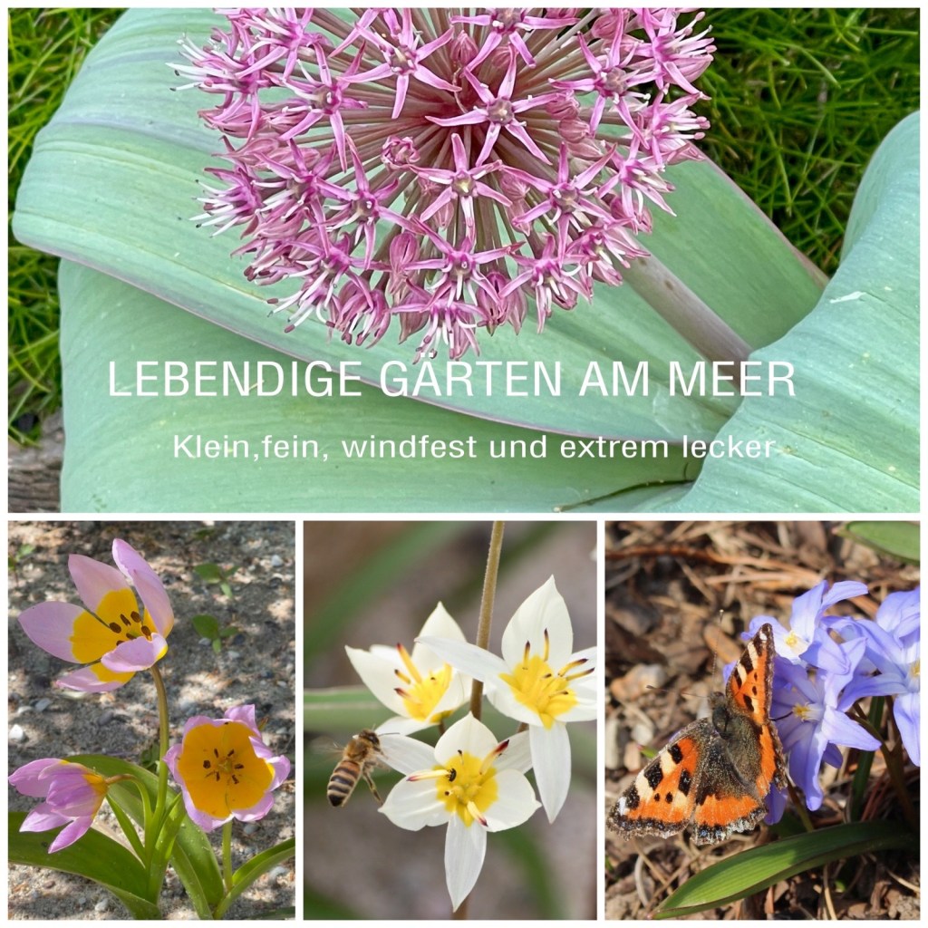 KLEIN,FEIN,WINDFEST & EXTREM&nbsp;LECKER