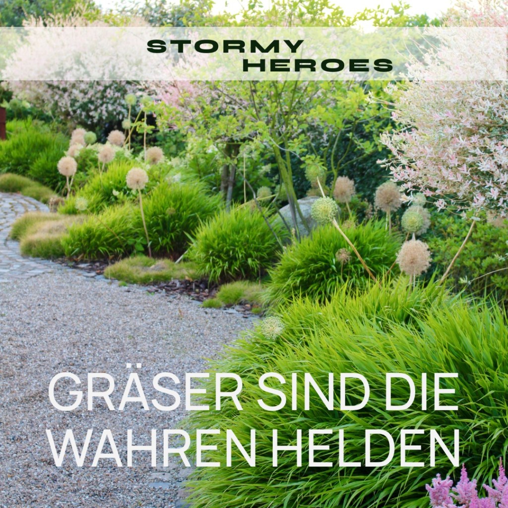 STORMY HEROES – GRÄSER SIND DIE WAHREN&nbsp;HELDEN