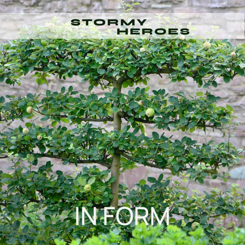 STORMY HEROES IN&nbsp;FORM