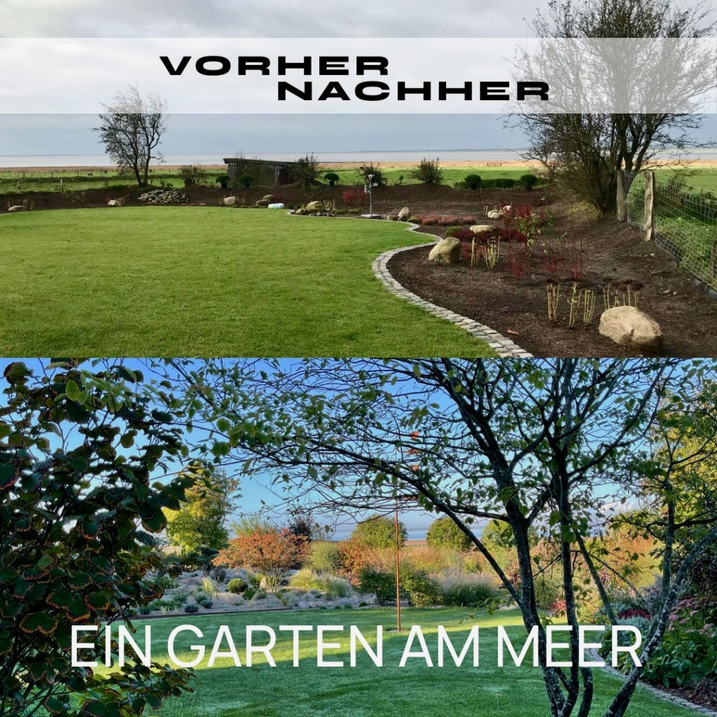 VORHER/NACHHER: Ein Garten an der&nbsp;Nordsee