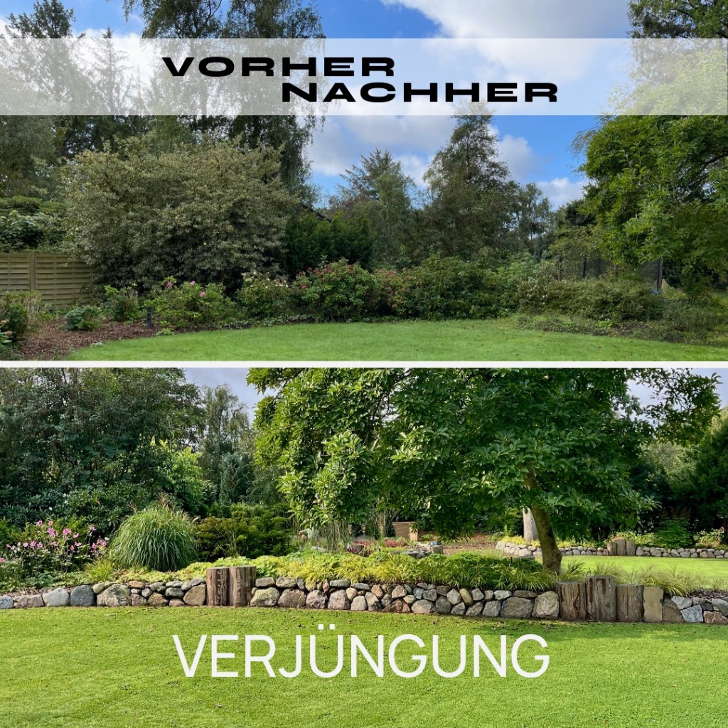 VORHER/NACHHER: Gartenverjüngung