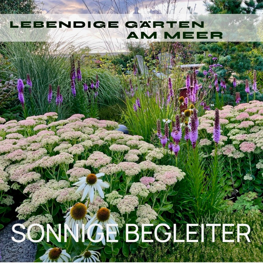 LEBENDIGE GÄRTEN AM MEER: Sonnige&nbsp;Begleiter