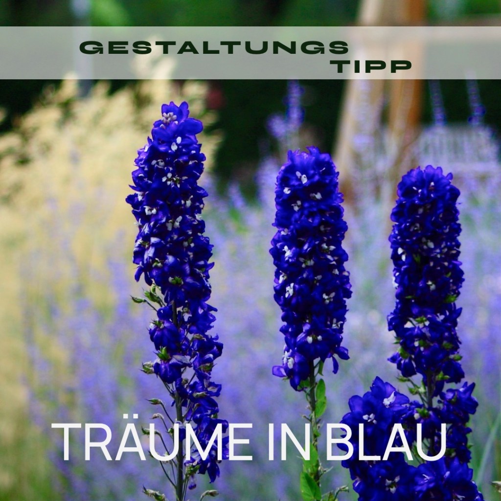 TRÄUME IN BLAU