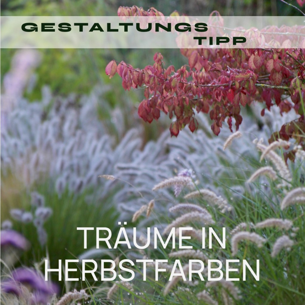 TRÄUME IN HERBSTFARBEN