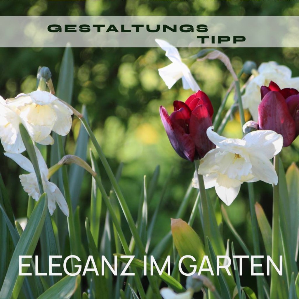 ELEGANZ IM GARTEN