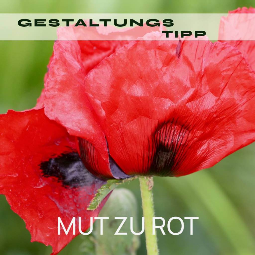 MUT ZU ROT