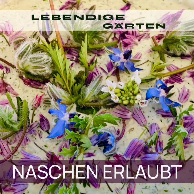 Naschen erlaubt – im&nbsp;Ziergarten