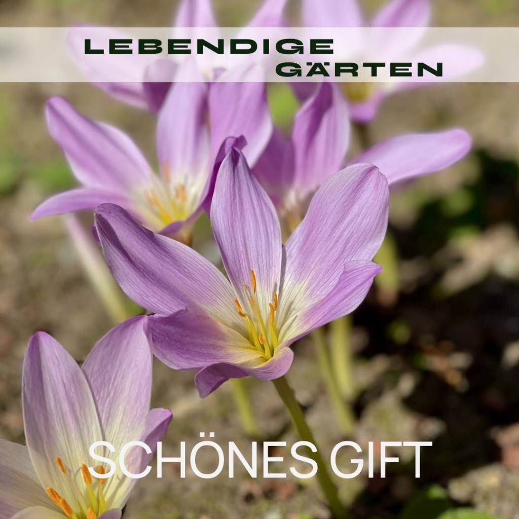 Schönes Gift
