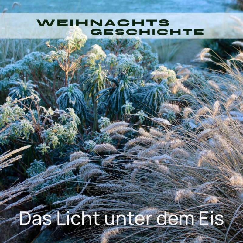Das Licht unter dem Eis – ein Moment des&nbsp;Friedens