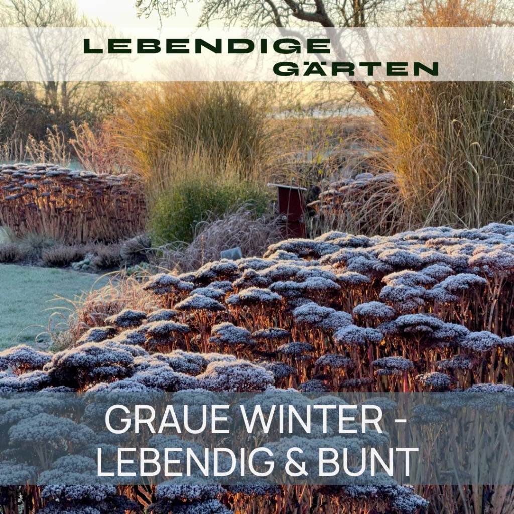 GRAUE WINTER – LEBENDIG &&nbsp;BUNT