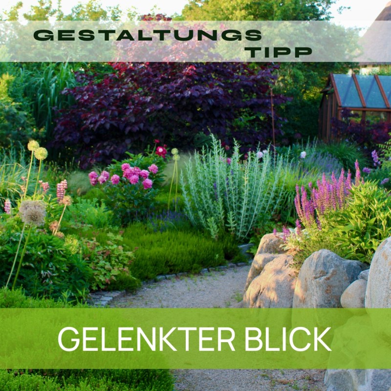 Der gelenkte Blick