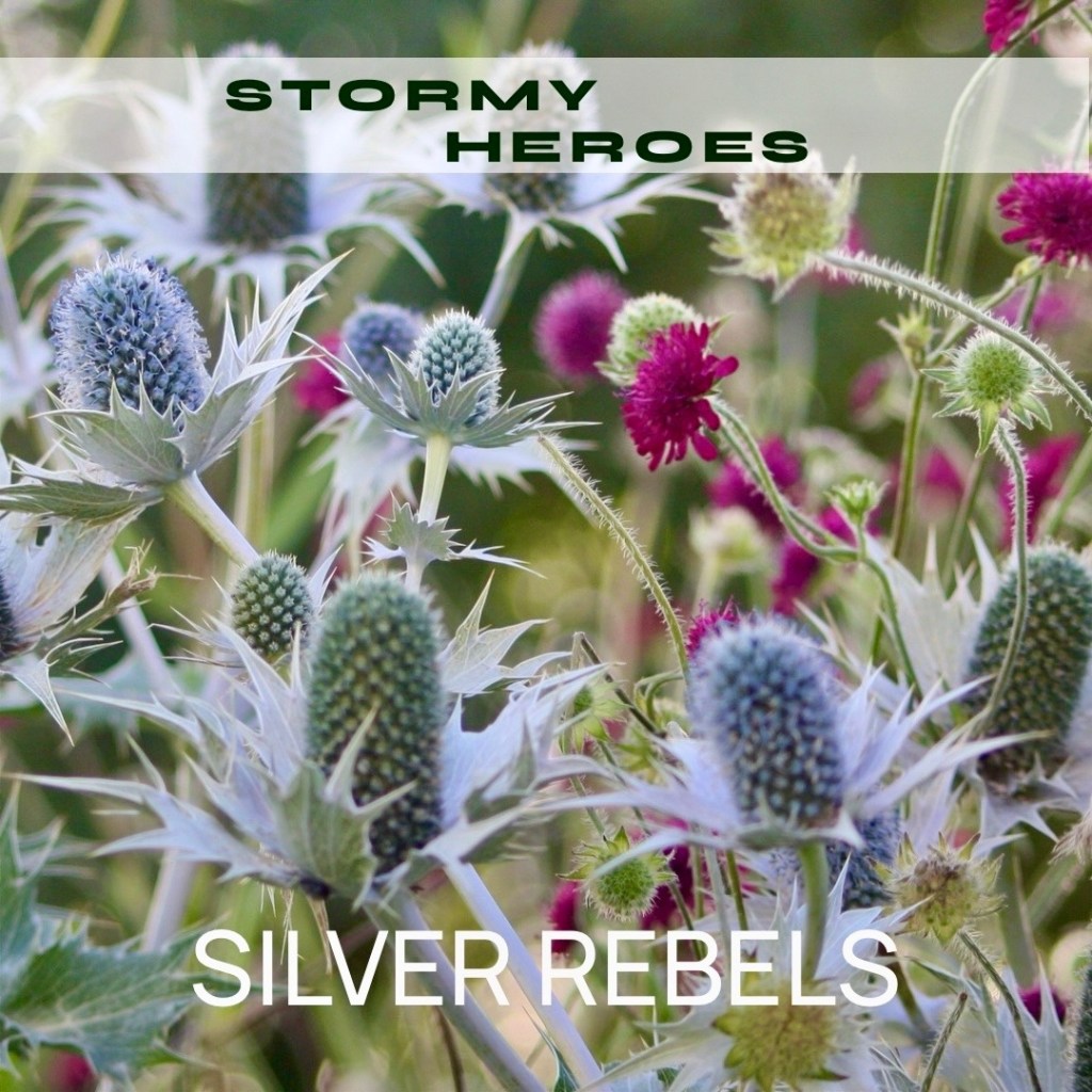 STORMY HEROES – SILVER REBELS