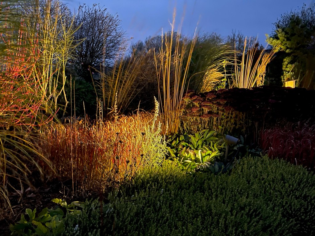 Ein beleuchteter Garten bei Nacht, der verschiedene Pflanzenarten zeigt. Gräser und Sträucher sind in warmem Licht hervorgehoben, während der Himmel im Hintergrund sichtbar ist.