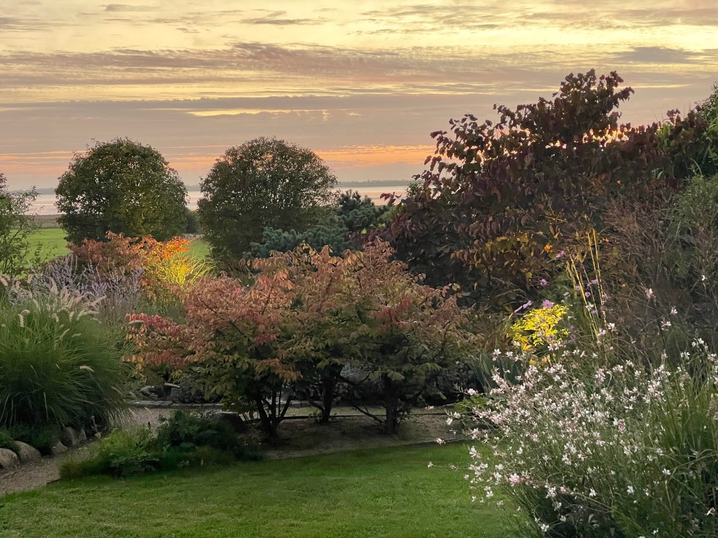 Sonnenuntergang über einem Garten mit bunten Büschen und Blumen.