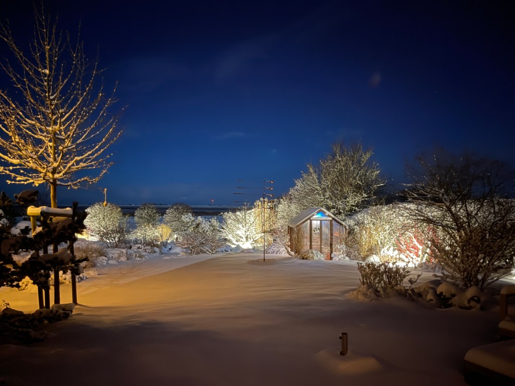 Winterszene bei Nacht mit verschneitem Garten, beleuchteten Bäumen und einem kleinen Gewächshaus.